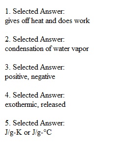 Quiz 5 Chapter5